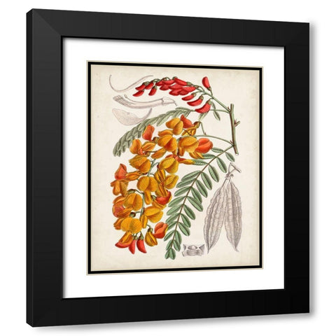 Delicate Tropicals IX Black Modern Wood Framed Art Print with Double Matting by Curtis