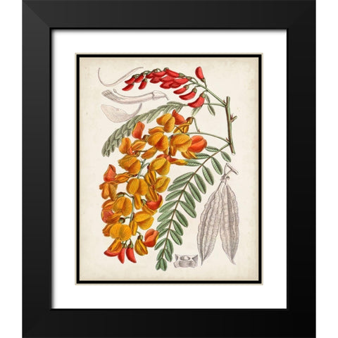 Delicate Tropicals IX Black Modern Wood Framed Art Print with Double Matting by Curtis