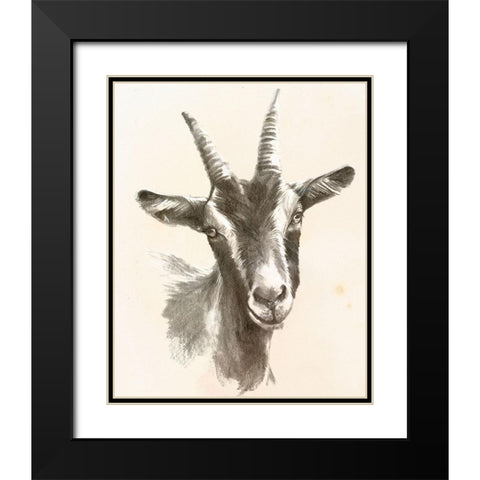 Sketched Farm Portraits II Black Modern Wood Framed Art Print with Double Matting by Parker, Jennifer Paxton