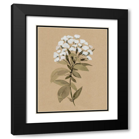 White Wildflower I Black Modern Wood Framed Art Print with Double Matting by Warren, Annie