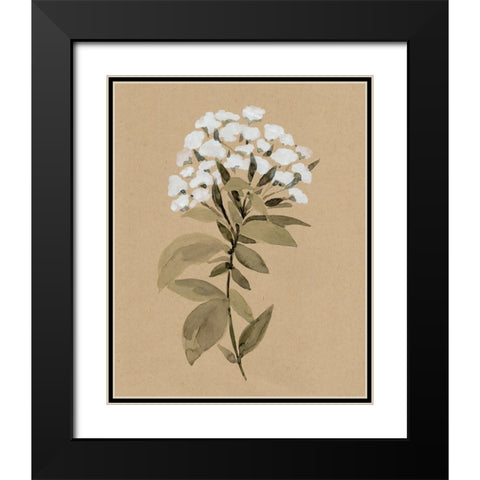 White Wildflower I Black Modern Wood Framed Art Print with Double Matting by Warren, Annie