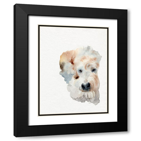 Scruffy Puppy I Black Modern Wood Framed Art Print with Double Matting by Parker, Jennifer Paxton