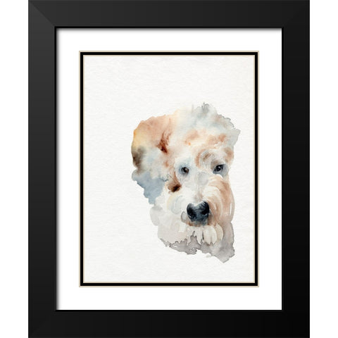 Scruffy Puppy I Black Modern Wood Framed Art Print with Double Matting by Parker, Jennifer Paxton