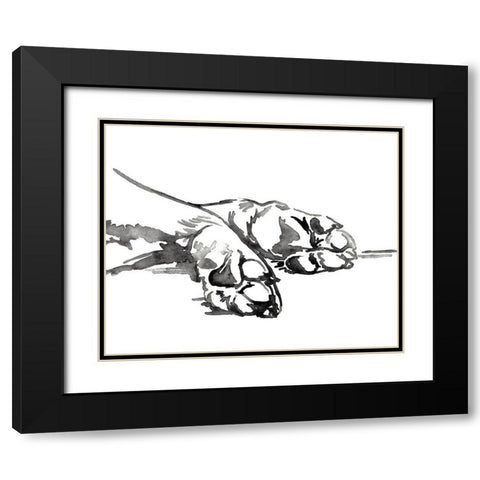 Linear Paws I Black Modern Wood Framed Art Print with Double Matting by Parker, Jennifer Paxton