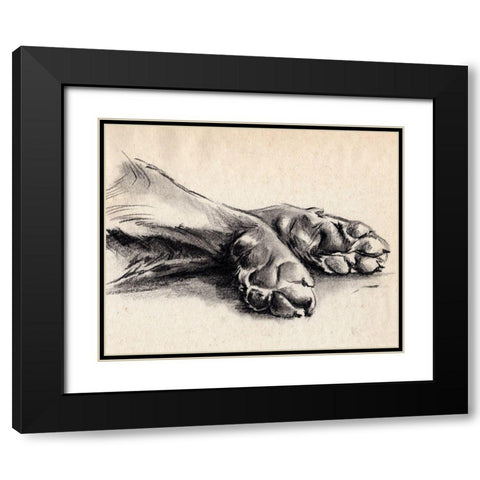 Charcoal Paws II Black Modern Wood Framed Art Print with Double Matting by Parker, Jennifer Paxton