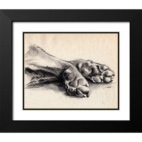 Charcoal Paws II Black Modern Wood Framed Art Print with Double Matting by Parker, Jennifer Paxton