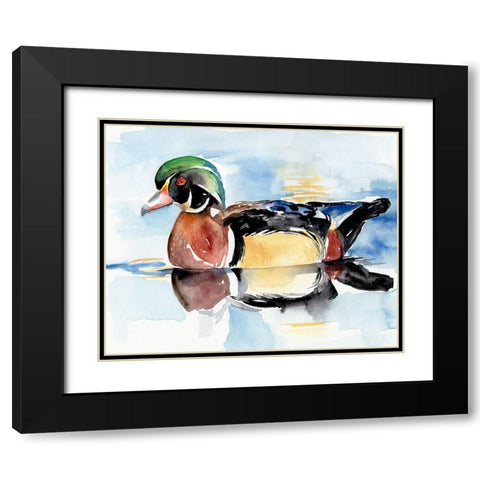 Watercolor Woodduck I Black Modern Wood Framed Art Print with Double Matting by Parker, Jennifer Paxton