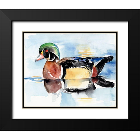 Watercolor Woodduck I Black Modern Wood Framed Art Print with Double Matting by Parker, Jennifer Paxton