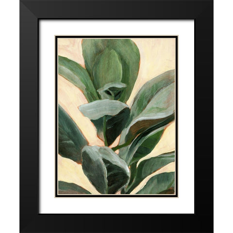 Custom Plant Study II Black Modern Wood Framed Art Print with Double Matting by Warren, Annie