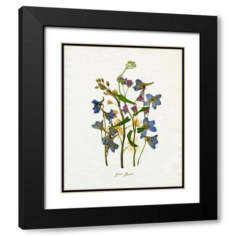 Pressed June Arrangement II Black Modern Wood Framed Art Print with Double Matting by Caroline, Emma