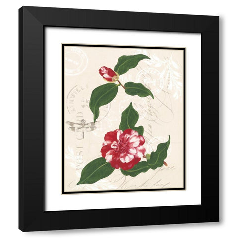 Diannes Camelias I Black Modern Wood Framed Art Print with Double Matting by Miller, Dianne