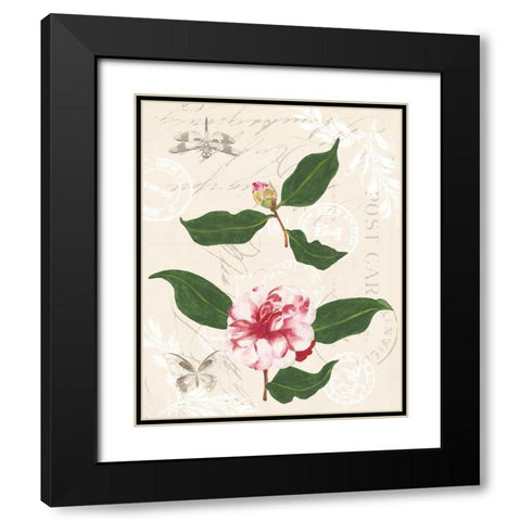 Diannes Camelias III Black Modern Wood Framed Art Print with Double Matting by Miller, Dianne