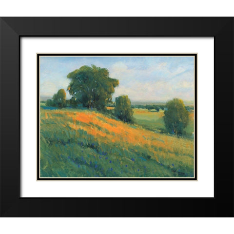 Poppy Fields I Black Modern Wood Framed Art Print with Double Matting by OToole, Tim