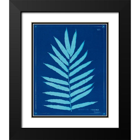 Cyanotype Ferns III Black Modern Wood Framed Art Print with Double Matting by Unknown