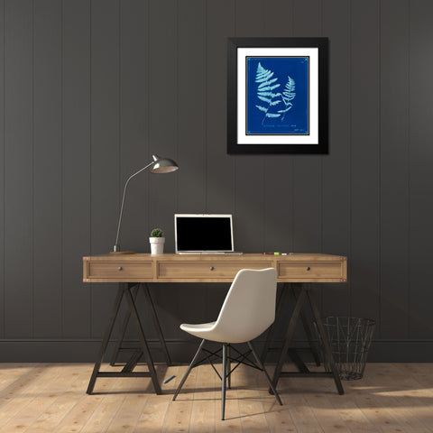 Cyanotype Ferns VIII Black Modern Wood Framed Art Print with Double Matting by Unknown