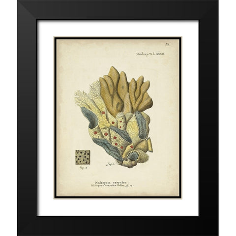 Ecru Coral III Black Modern Wood Framed Art Print with Double Matting by Esper, Johann