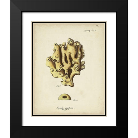 Ecru Coral X Black Modern Wood Framed Art Print with Double Matting by Esper, Johann