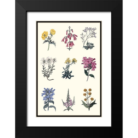 Antique Floral Chart Black Modern Wood Framed Art Print with Double Matting by Vision Studio
