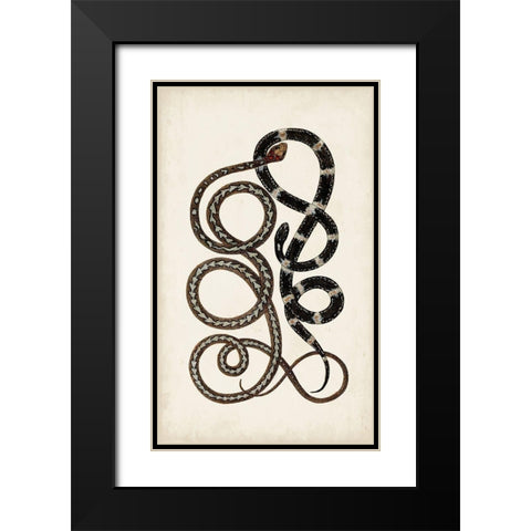 Antique Snakes II Black Modern Wood Framed Art Print with Double Matting by Vision Studio