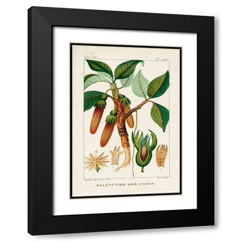Turpin Foliage and Fruit I Black Modern Wood Framed Art Print with Double Matting by Turpin