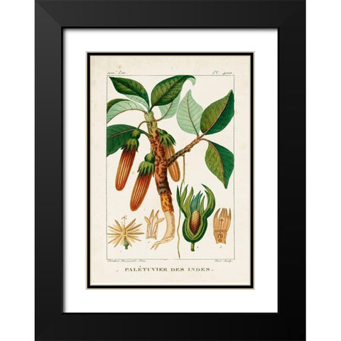 Turpin Foliage and Fruit I Black Modern Wood Framed Art Print with Double Matting by Turpin