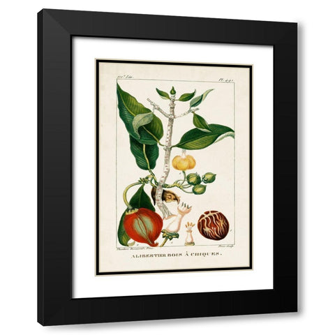 Turpin Foliage and Fruit III Black Modern Wood Framed Art Print with Double Matting by Turpin