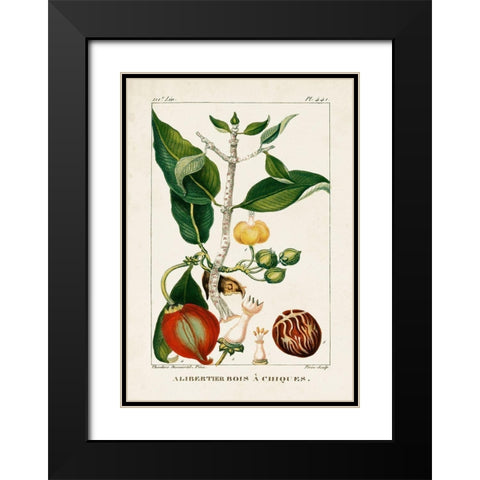 Turpin Foliage and Fruit III Black Modern Wood Framed Art Print with Double Matting by Turpin