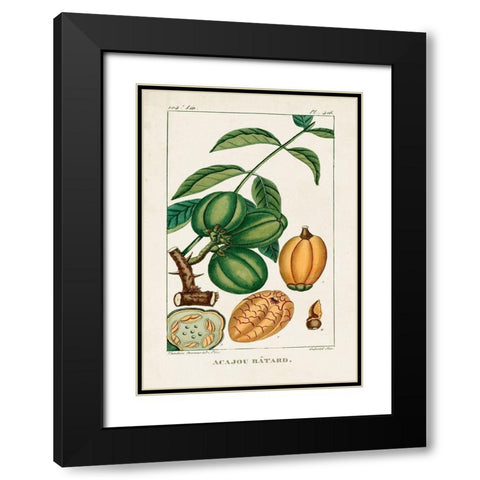 Turpin Foliage and Fruit IV Black Modern Wood Framed Art Print with Double Matting by Turpin