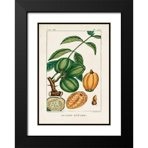 Turpin Foliage and Fruit IV Black Modern Wood Framed Art Print with Double Matting by Turpin