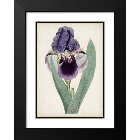 Garden Gems VI Black Modern Wood Framed Art Print with Double Matting by Curtis