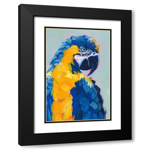 Pop Art Parrot II Black Modern Wood Framed Art Print with Double Matting by Parker, Jennifer Paxton