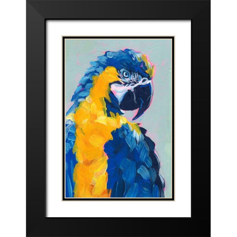 Pop Art Parrot II Black Modern Wood Framed Art Print with Double Matting by Parker, Jennifer Paxton