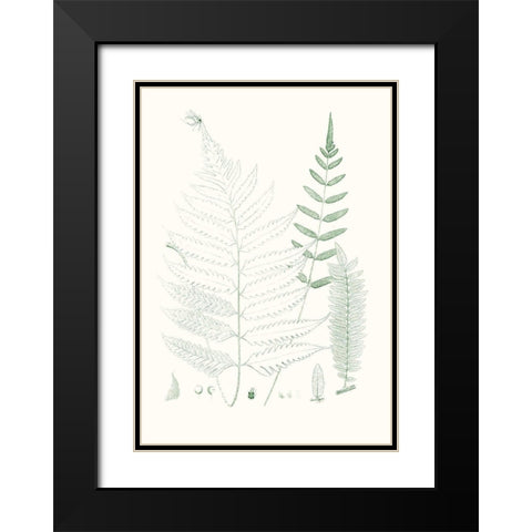 Verdure Ferns II Black Modern Wood Framed Art Print with Double Matting by Vision Studio