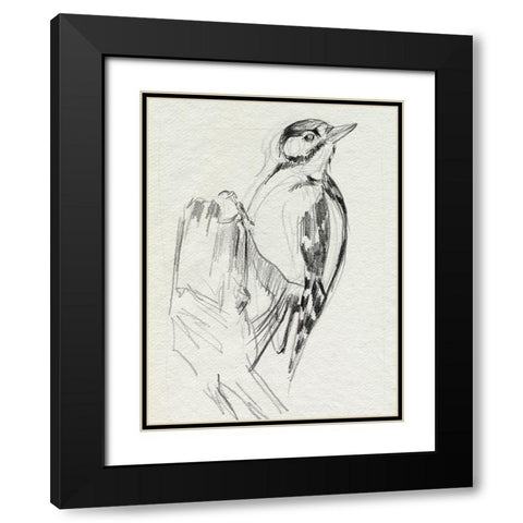 Woodpecker Sketch II Black Modern Wood Framed Art Print with Double Matting by Parker, Jennifer Paxton