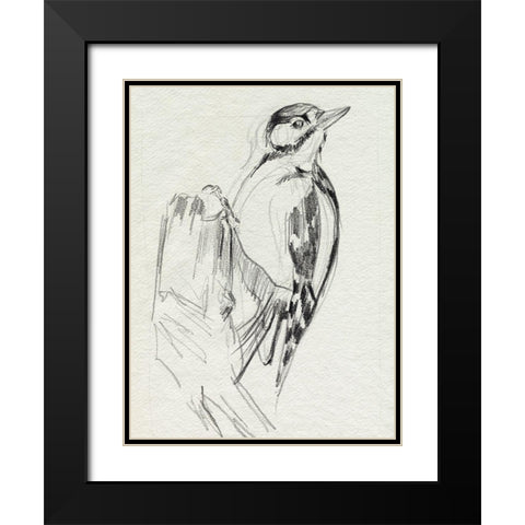 Woodpecker Sketch II Black Modern Wood Framed Art Print with Double Matting by Parker, Jennifer Paxton