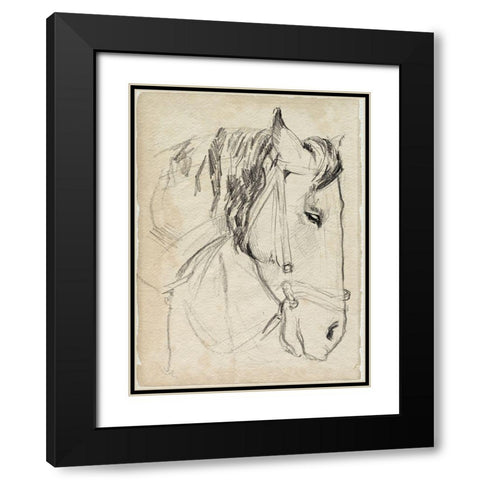 Horse in Bridle Sketch I Black Modern Wood Framed Art Print with Double Matting by Parker, Jennifer Paxton