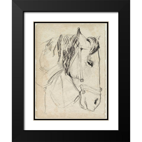 Horse in Bridle Sketch I Black Modern Wood Framed Art Print with Double Matting by Parker, Jennifer Paxton