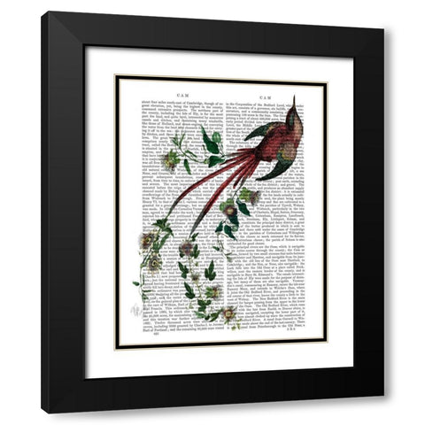 Passion Flower Bird Black Modern Wood Framed Art Print with Double Matting by Fab Funky
