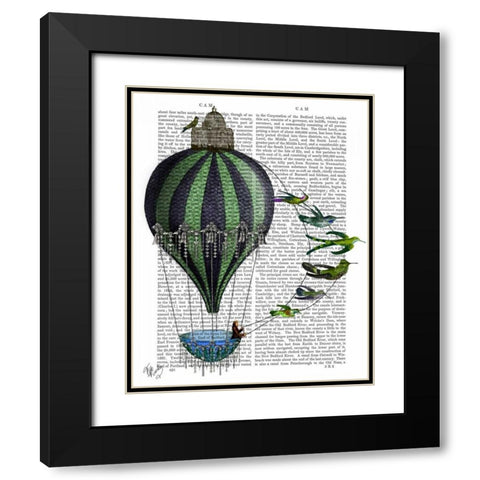 Hot Air Balloon and Birds Black Modern Wood Framed Art Print with Double Matting by Fab Funky
