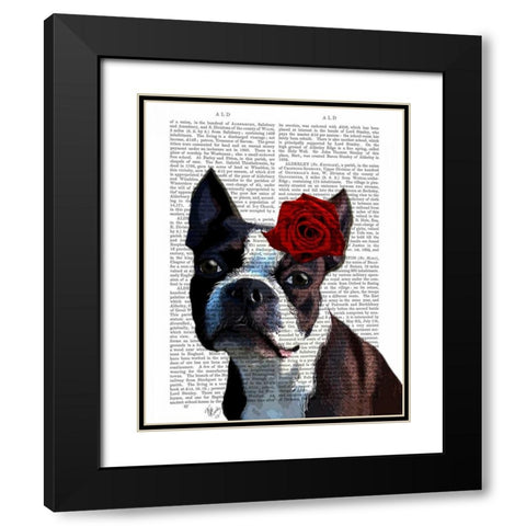 Boston Terrier with Rose on Head Black Modern Wood Framed Art Print with Double Matting by Fab Funky