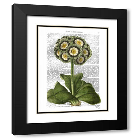 Primula Auricula Blue Black Modern Wood Framed Art Print with Double Matting by Fab Funky
