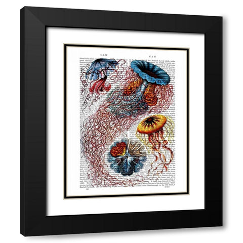 Sea Anemone Black Modern Wood Framed Art Print with Double Matting by Fab Funky