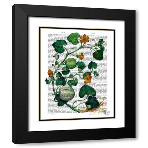 Squash Vine 2 Black Modern Wood Framed Art Print with Double Matting by Fab Funky