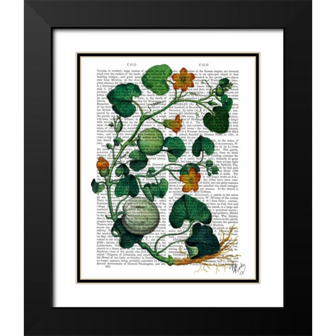 Squash Vine 2 Black Modern Wood Framed Art Print with Double Matting by Fab Funky