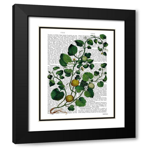 Squash Vine 4 Black Modern Wood Framed Art Print with Double Matting by Fab Funky