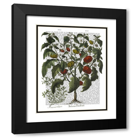 Peppers 2 Black Modern Wood Framed Art Print with Double Matting by Fab Funky