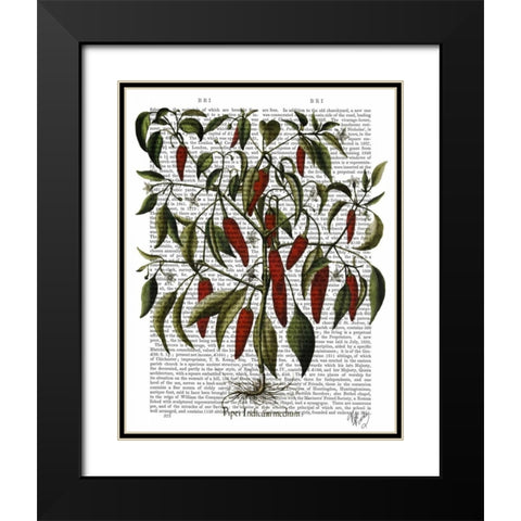Peppers 3 Black Modern Wood Framed Art Print with Double Matting by Fab Funky
