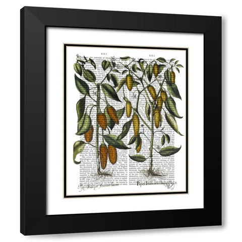 Peppers 7 Black Modern Wood Framed Art Print with Double Matting by Fab Funky