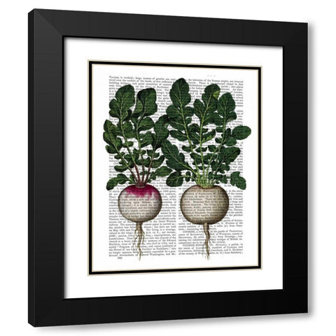 Radishes Print Black Modern Wood Framed Art Print with Double Matting by Fab Funky