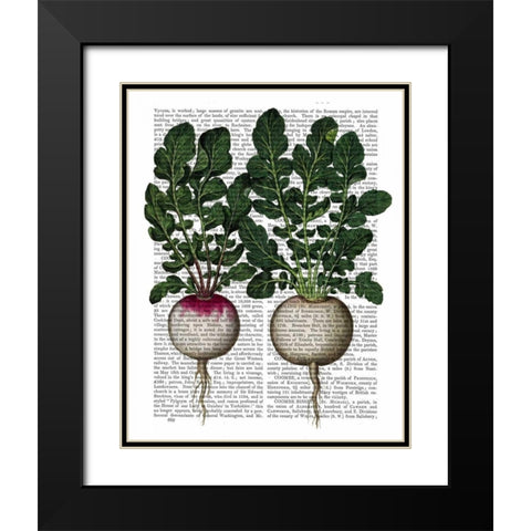 Radishes Print Black Modern Wood Framed Art Print with Double Matting by Fab Funky